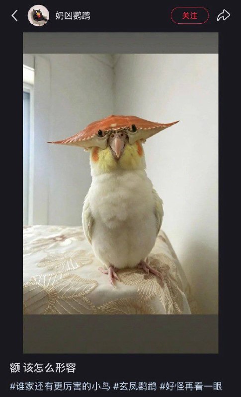收手吧阿祖