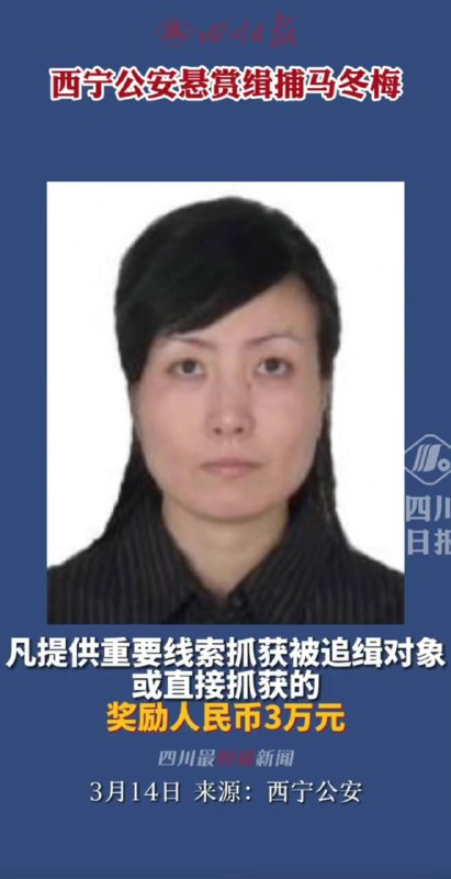 马冬梅犯事了