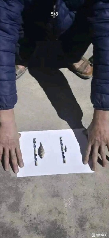 钓鱼佬之耻钓鱼佬之耻