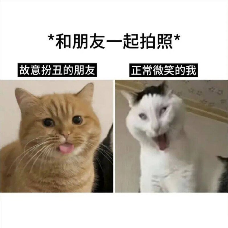 🌚
