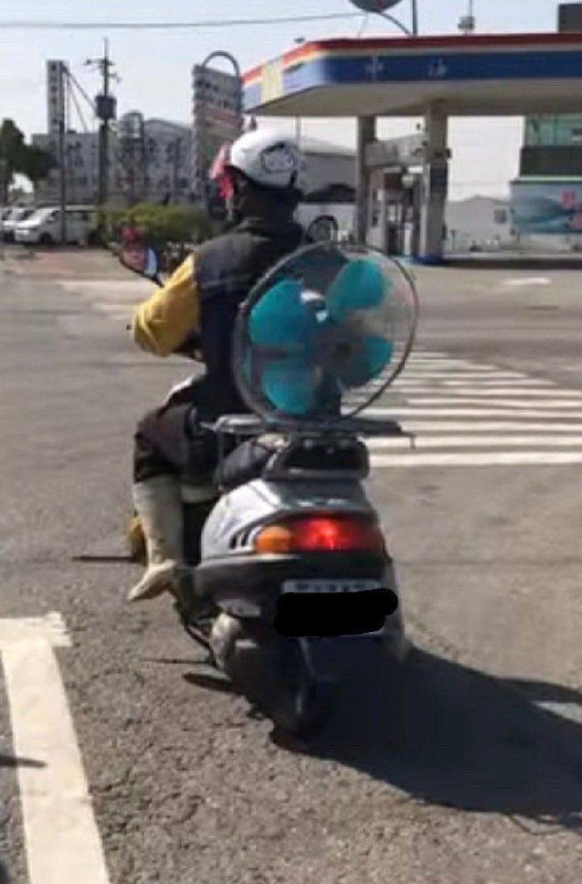赛尔达玩家