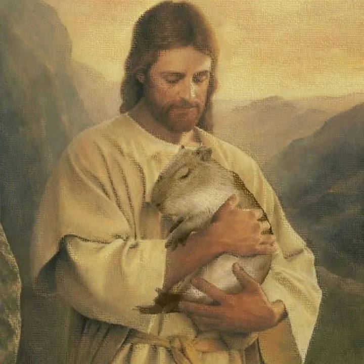 豚门🙏🏻