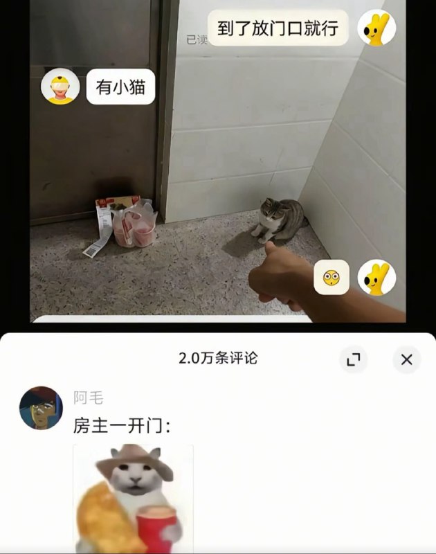 干嘛