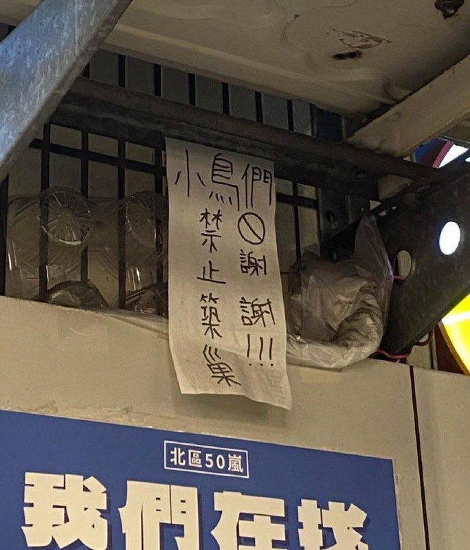 小鸟