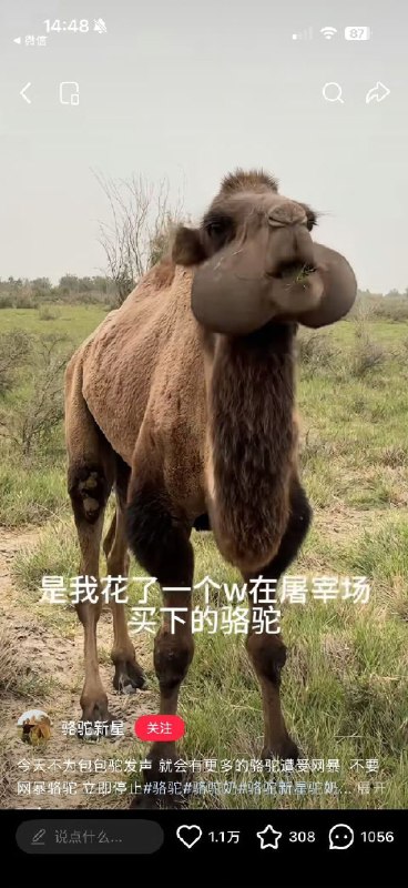 ？？
