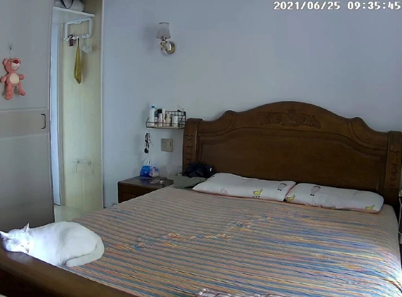 哈哈哈哈哈哈已经很努力克制自己了哈哈哈哈哈哈已经很努力克制自己了
