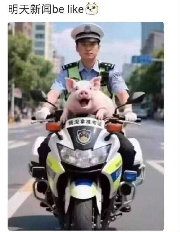 明日将按每年惯例触发固定NPC