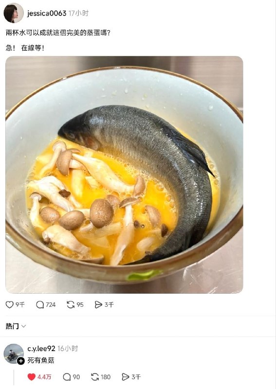 做饭天才