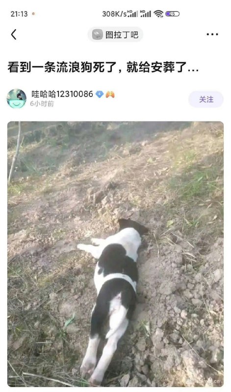 ？？