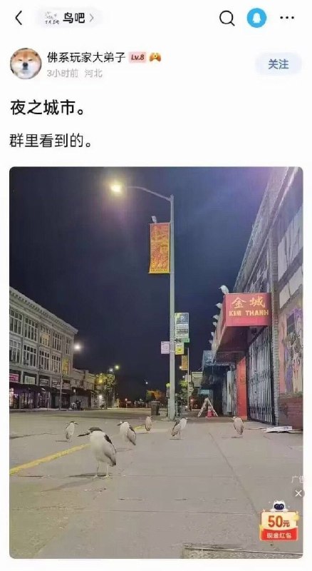 夜之城