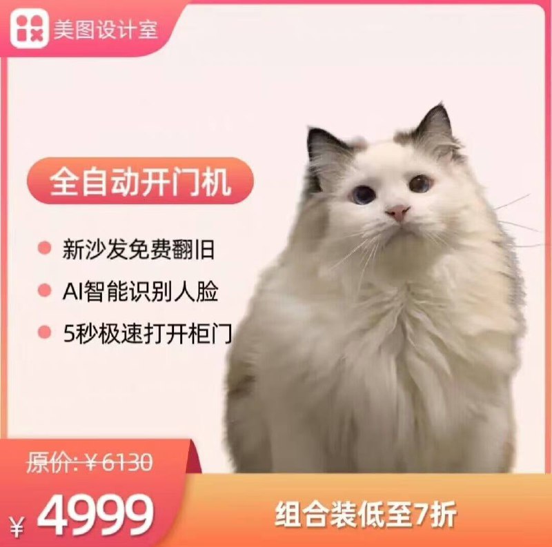 一些坏 #猫猫一些坏 #猫猫
