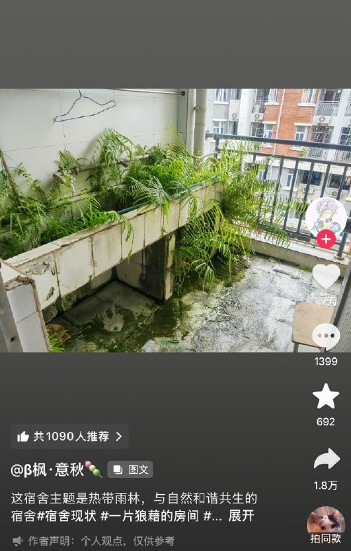 原始森林主题宿舍🌚原始森林主题宿舍🌚