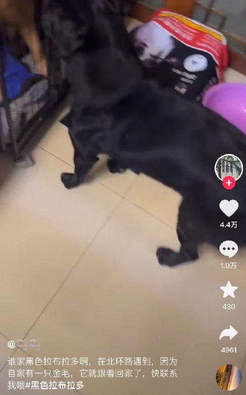 ？？？？？？