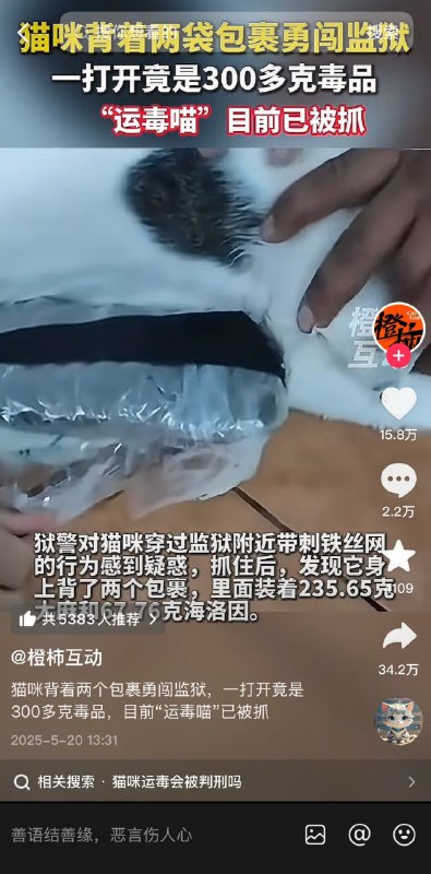 ？？
