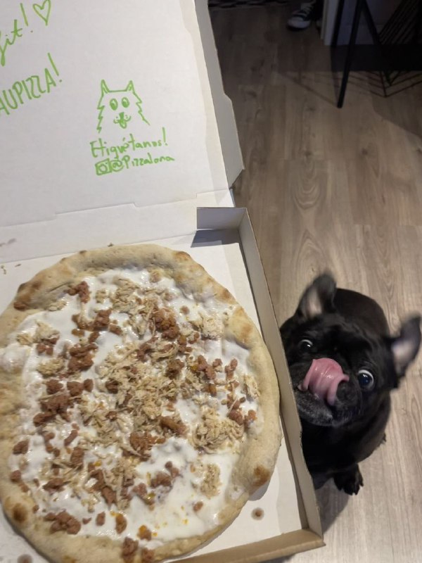 #狗狗#狗狗