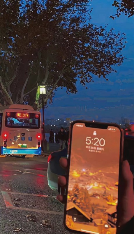一张壁纸（原图见评论区）