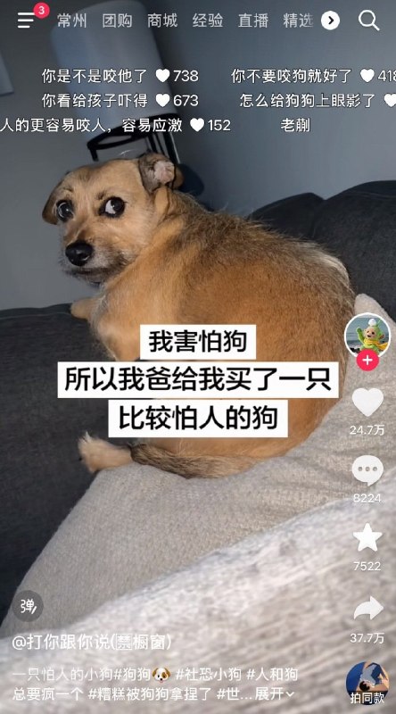 相敬如宾