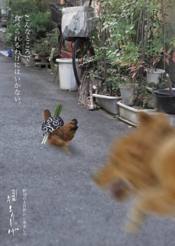 经典回顾经典回顾