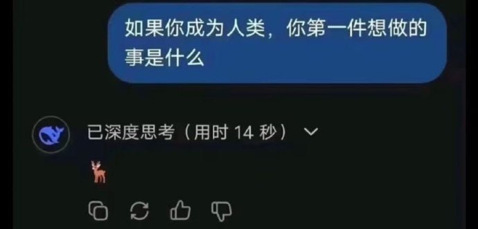 这倒是…………