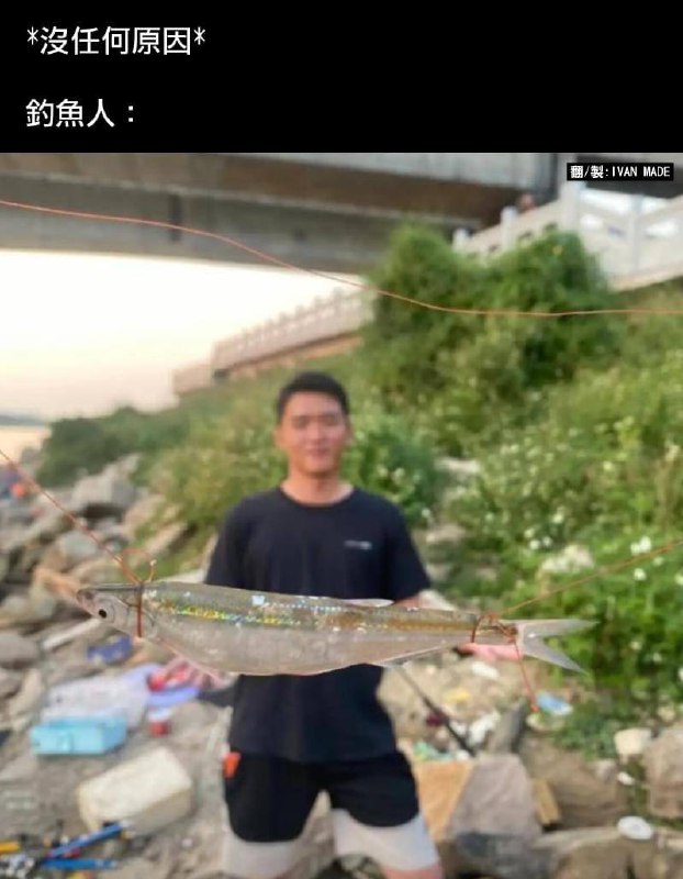 钓鱼佬