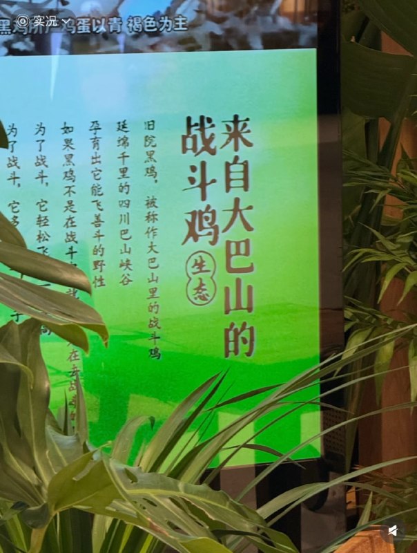 一眼在人群中认出你的感觉🌚