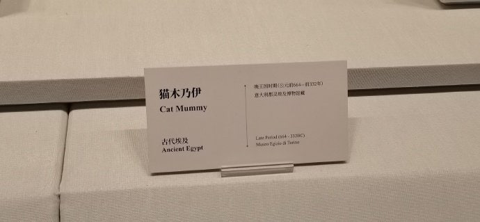 郑州博物馆，大河文明展