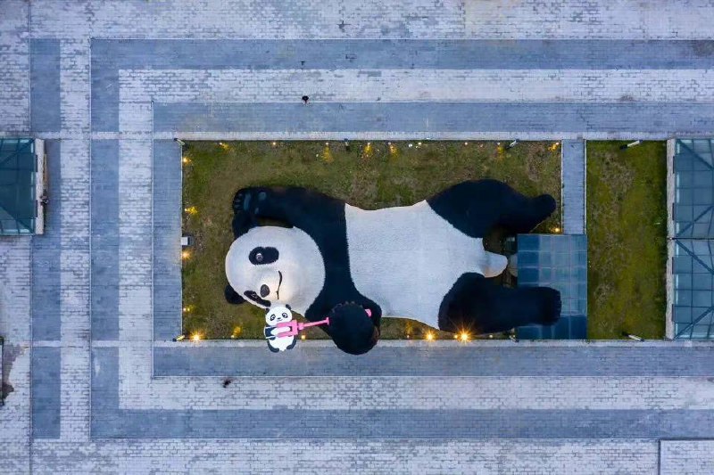 自拍熊猫🐼自拍熊猫🐼