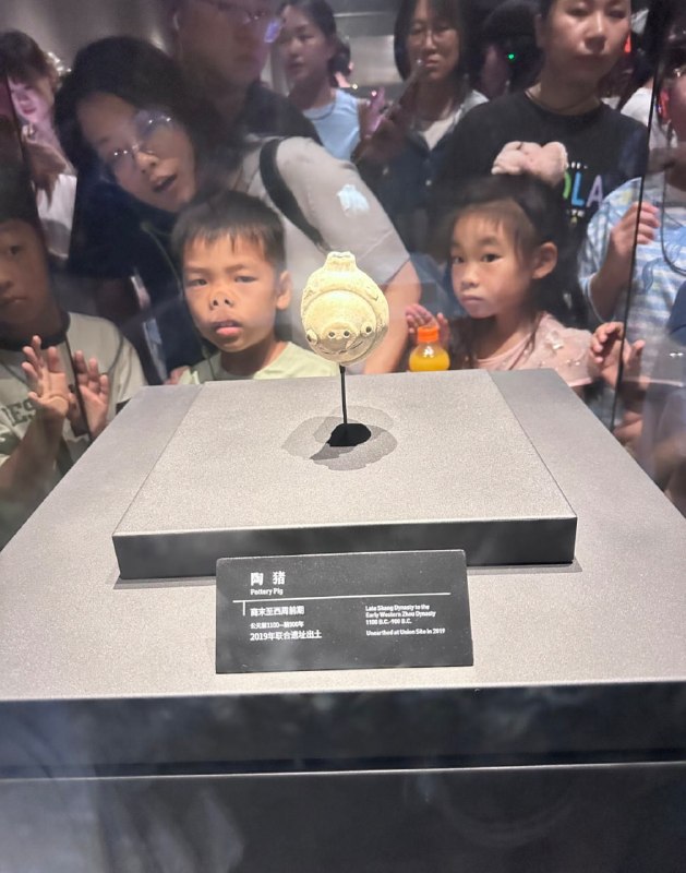 三星堆文物陶猪，以及对面可爱的小朋友🌚