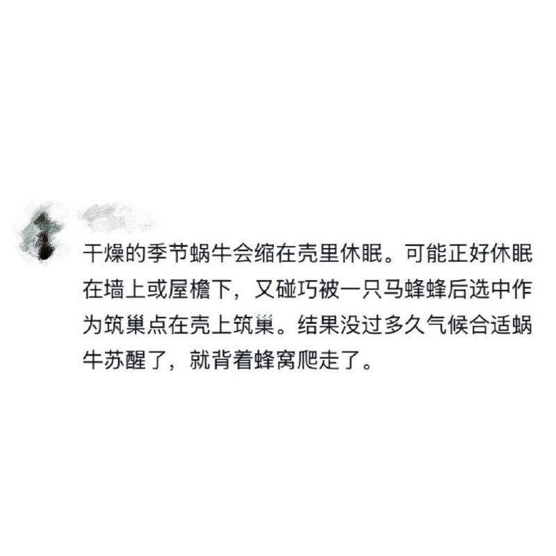 🤔🤔