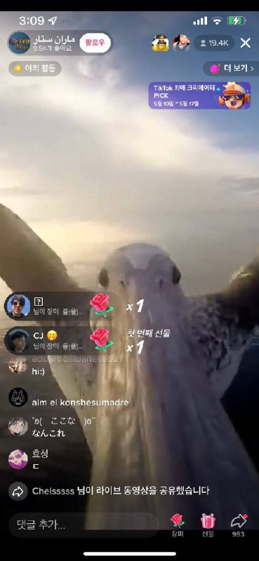 去码头整点手机去码头整点手机