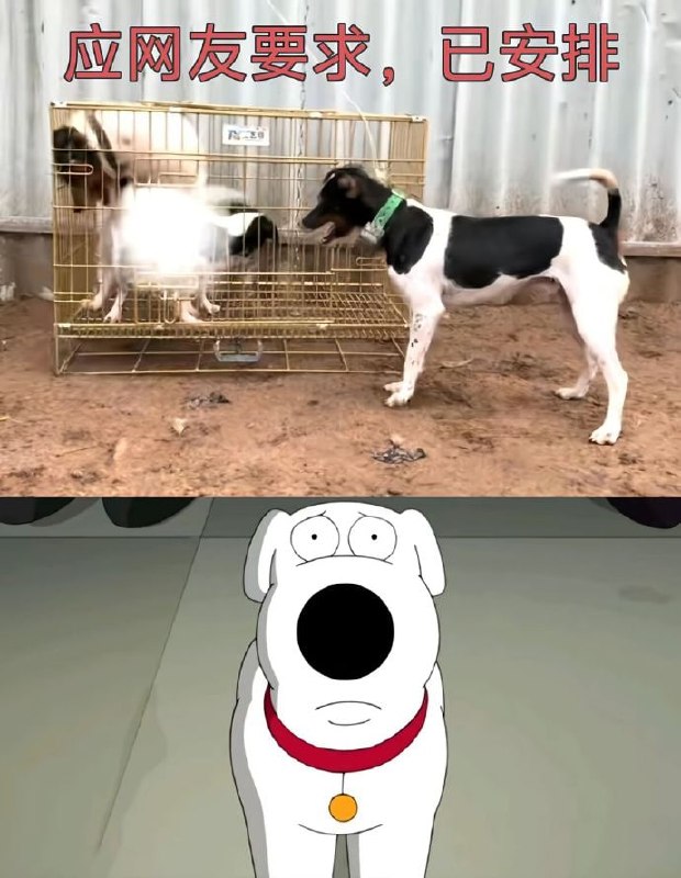 ？？？？？？