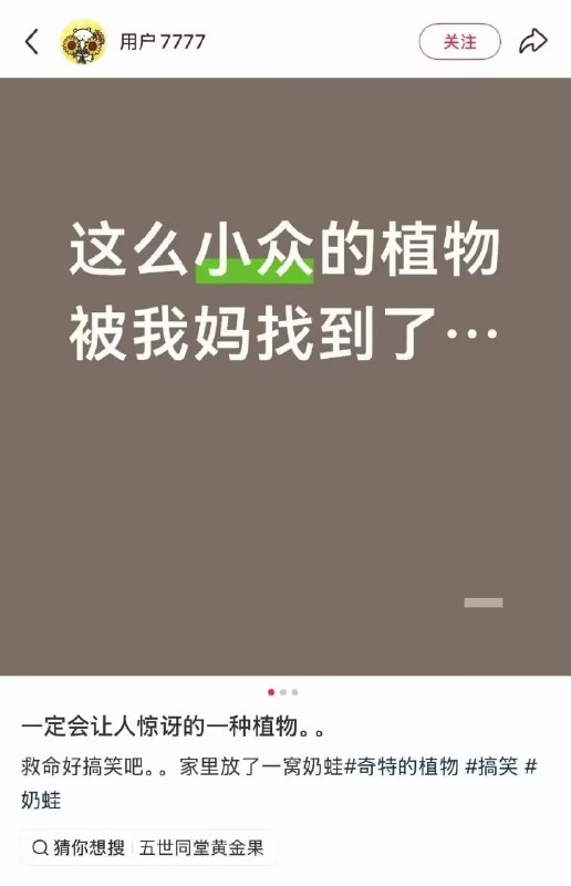 什么奶龙果😮什么奶龙果😮
