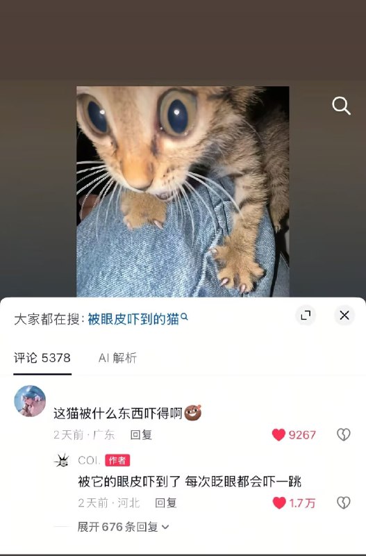 ？
