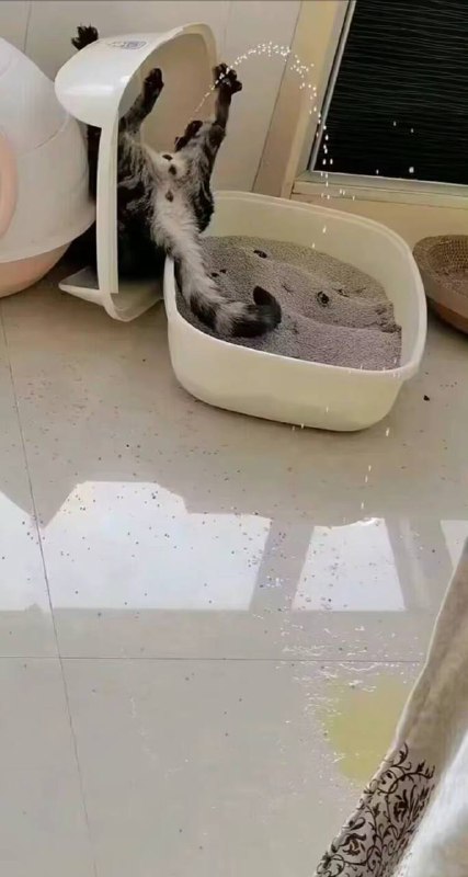 难度系数