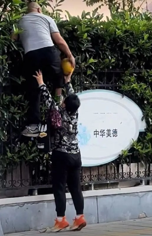 《中华美德》