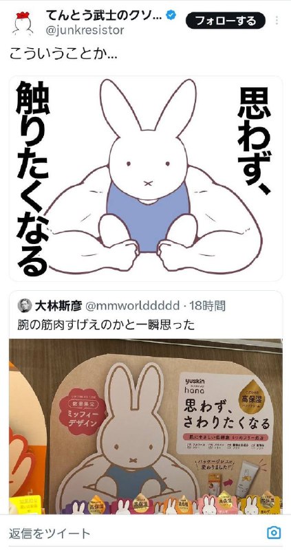 肌肉猛男米菲兔肌肉猛男米菲兔