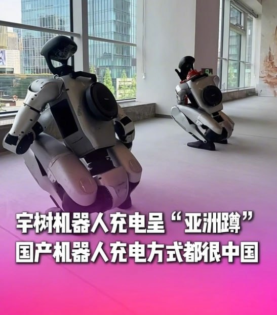 集体拉屎，场面壮观🌚集体拉屎，场面壮观🌚