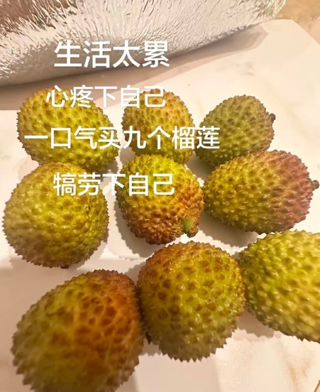 还是猫山王🌚