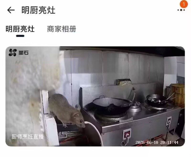 料理鼠王！