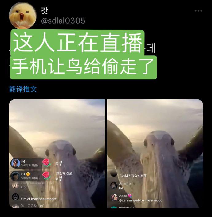 去码头整点手机去码头整点手机