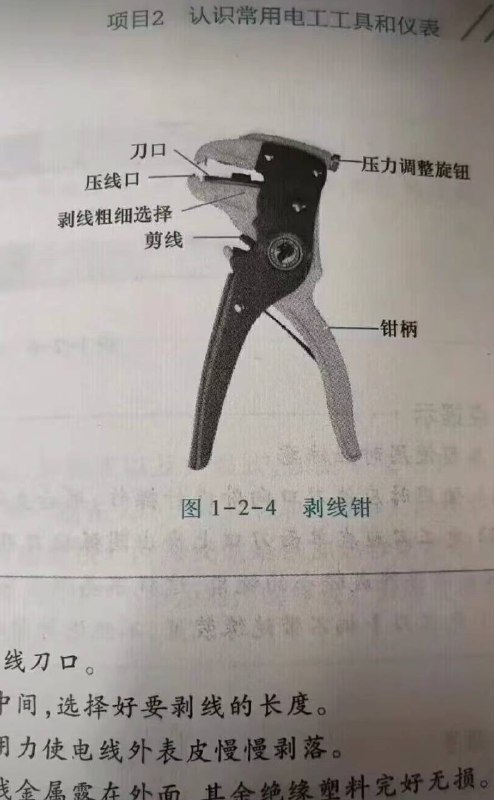 越来越抽象🐔
