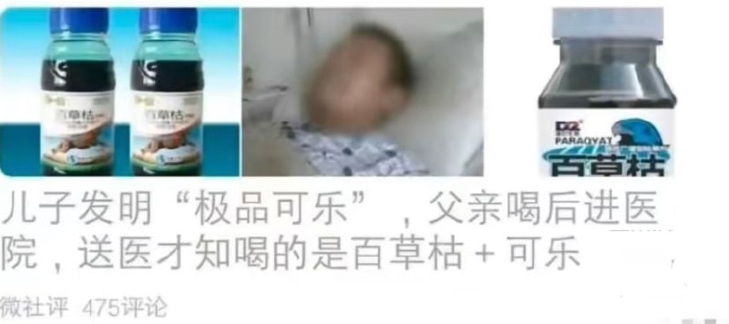 极品儿子