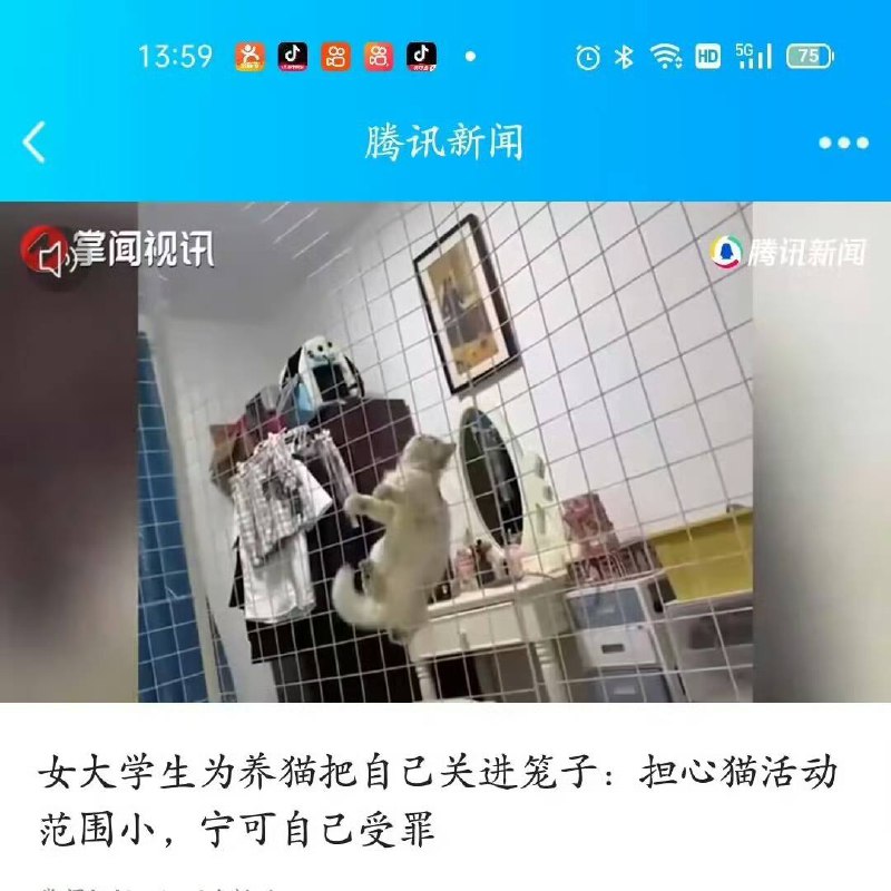 人类成功被猫驯服