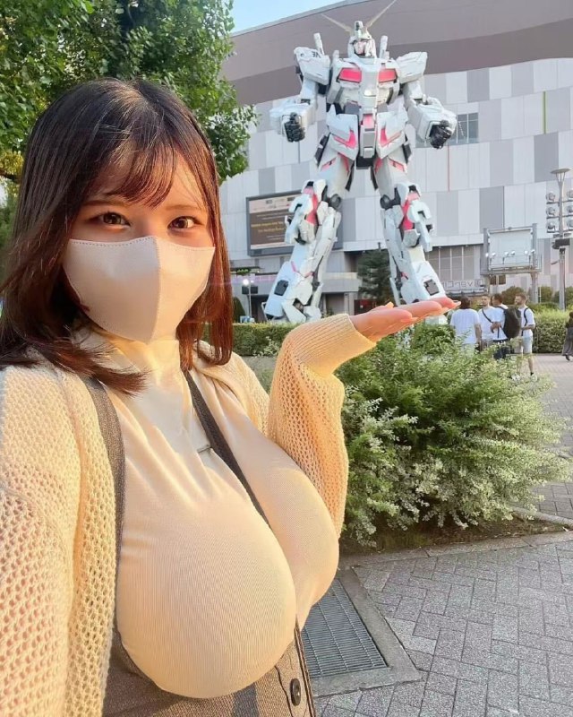 卧槽，高达！