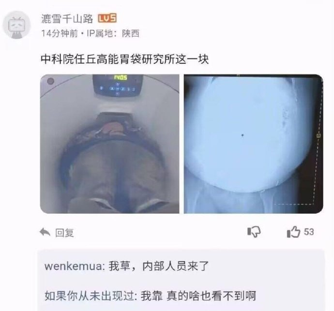良子这胃袋真牛批啊😅