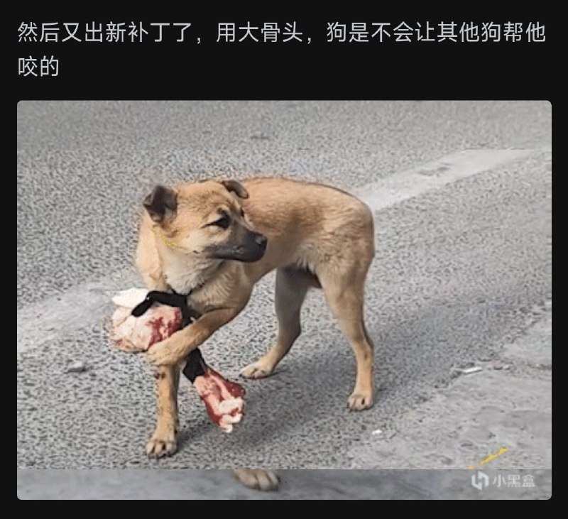 好家伙，还有后续😅