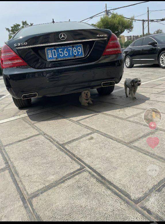 🤔️🤔️