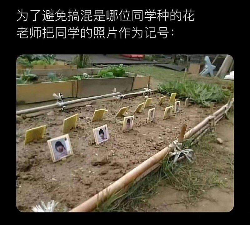 ？？？