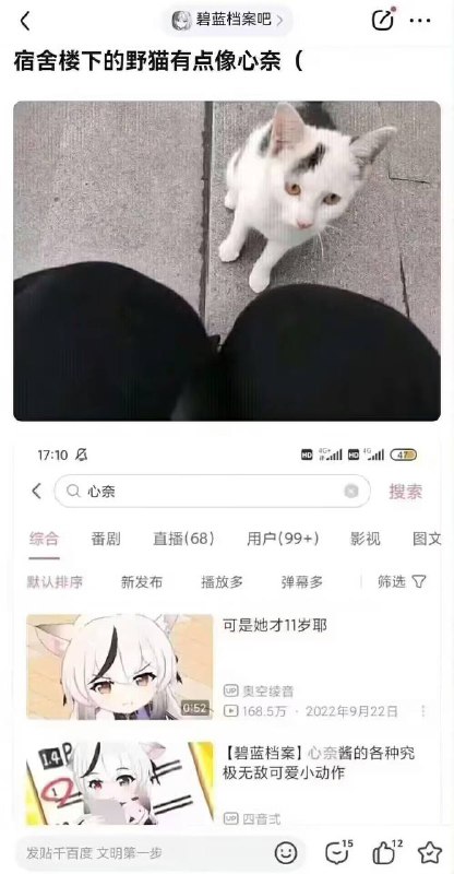 #猫猫