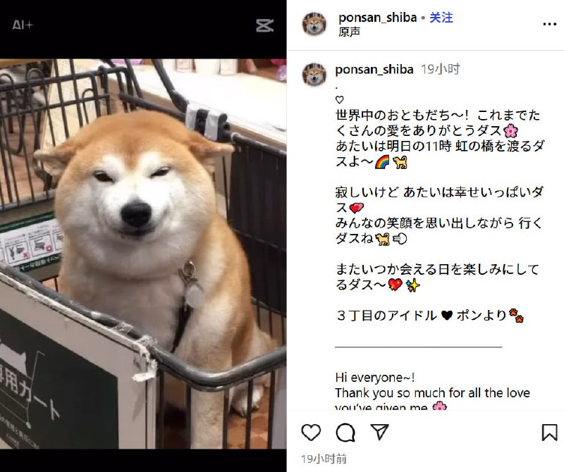 表情包“不可以色色”原型柴犬去世表情包“不可以色色”的原型柴犬 ポン 去世，享年17岁